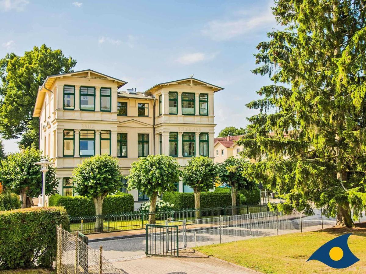 Villa Waldblick Whg 05 هيرينجسدورف المظهر الخارجي الصورة